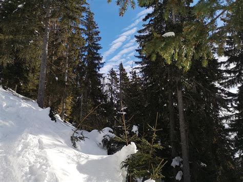 Namig za izlet Uršlja gora VisitSaleska