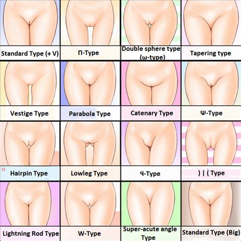 Rule 34 Chart Crotch Hard Translated Informative Innie Pussy Mound Of Venus Pussy Pussy Chart