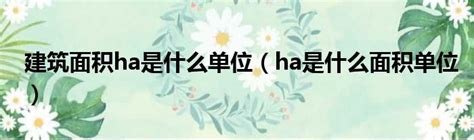 建筑面积ha是什么单位（ha是什么面积单位） 51房产网