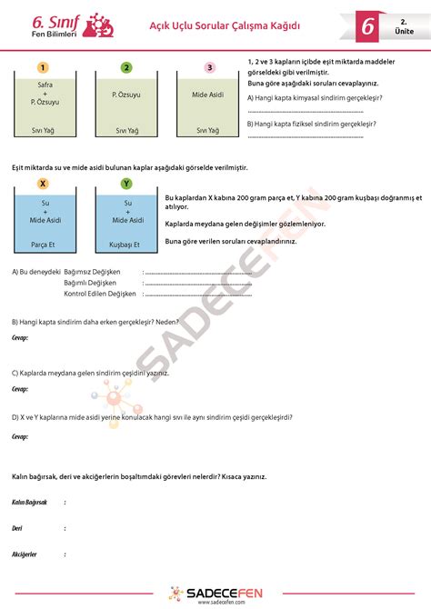 S N F Fen Bilimleri Nite A K U Lu Sorular Al Ma Ka D Fen