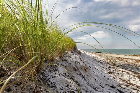 Sand Dunes On The Beach Digital Art by Laura Diez - Fine Art America