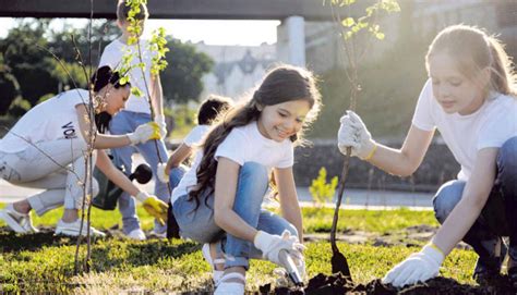 Colegios Solidarios Construyendo Un Mundo Mejor Magisnet