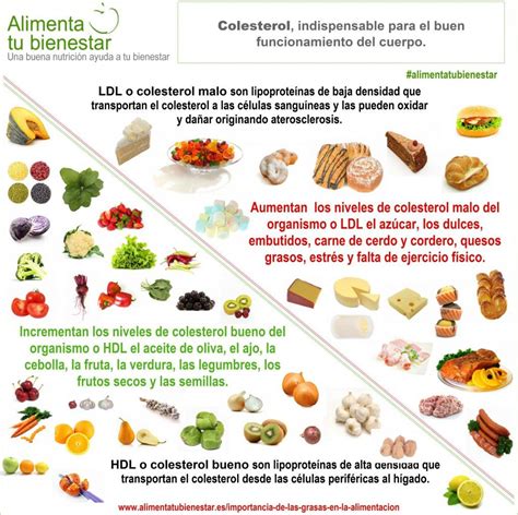 La importancia de las grasas en la alimentación