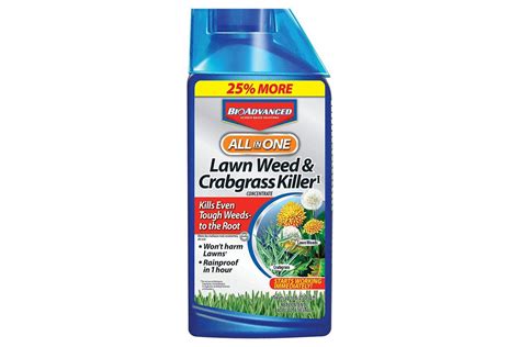 The 7 Best Weed Killers Of 2023