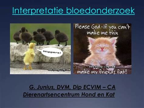 Ppt Interpretatie Bloedonderzoek Powerpoint Presentation Free