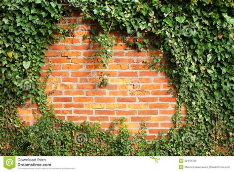 🔥 Free Download Brick Wall With Ivy Panorama By Happeningstock