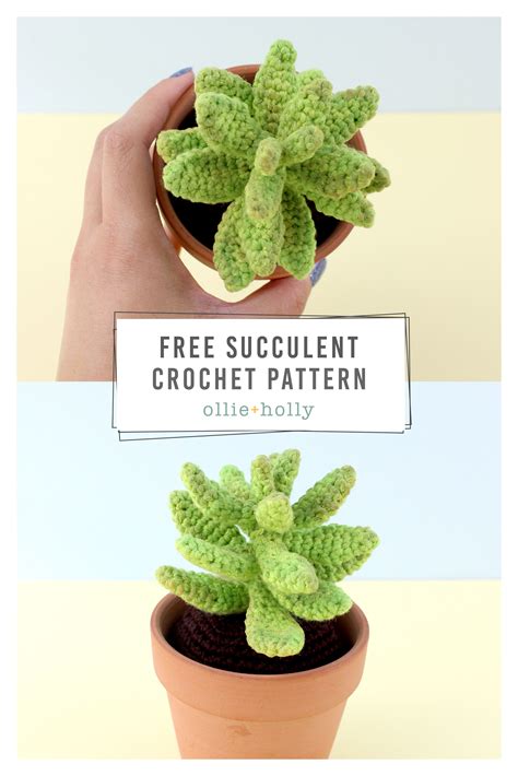 Free Sedum Adolphii Golden Glow Succulents Amigurumi Crochet Pattern