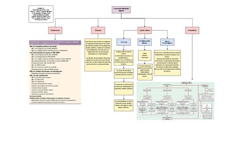 Mapa Leucemia Mieloide Aguda Leucemia Mieloide Aguda Clasificación