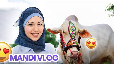 Mandi Se Qurbani Ky Liye Humny Kya Liye 😍 Mandi Vlog Bakraeid2023