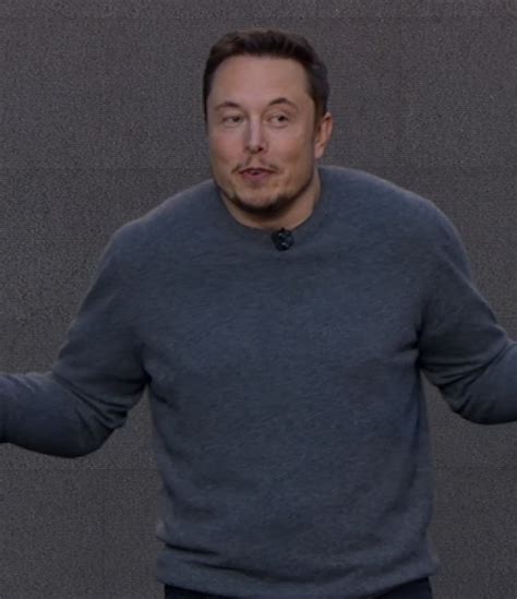 Elon Musk Reveals Tesla Solar Panels That Dont Look Like Solar Panels