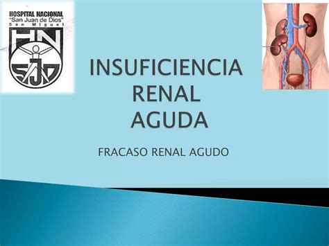 Insuficiencia Renal Aguda Ppt