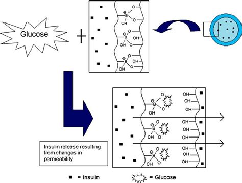 A Glucose Responsive Insulin Releasing System Based On PVA Poly NVP Co