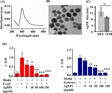 Characterization Of Agnps And Their Antibacterial Activity A