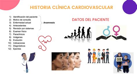 SOLUTION Fisiología y Semiología del sistema cardiovascular Studypool