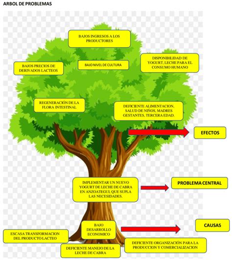 Arbol Del Problema Grado 9 Ejemplos De Tripticos Arbol De Problemas Porn Sex Picture