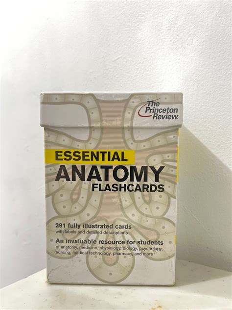 Anatomy Flashcards on Carousell