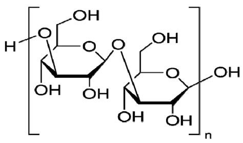 immunostimulatory effect  laminarin  raw  mouse macrophages