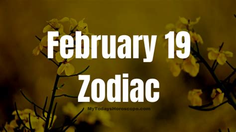 February 19 Birthday Zodiac Sign Chart, Love, Traits, and Career in ...