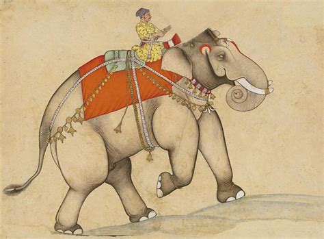 Reflections On The Elephant Mind Sikhnet