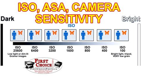 Demystifying Iso Asa And Camera Sensitivity A Comprehensive Guide