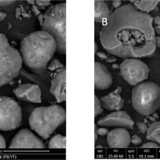 SEM image for A 5 Ni γAl2O3 and B 5 Ni 0 25 Ru γAl2O3