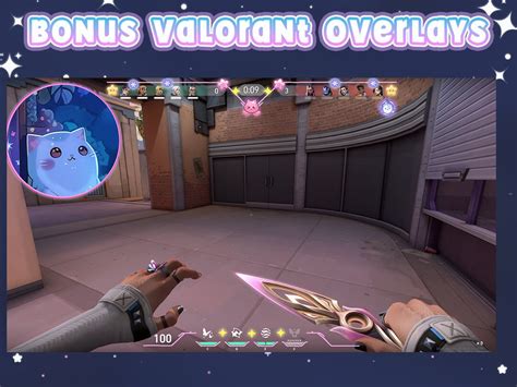 Valorant Hud Twitch Screen Overlay Twitch Panel Twitch Cute Hud