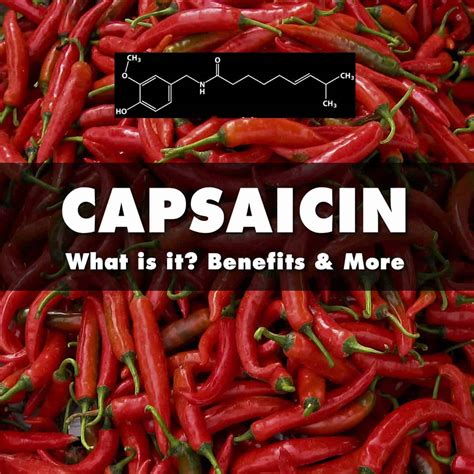 What Is Capsaicin Heat Level Health Benefits And More Chili Pepper Madness