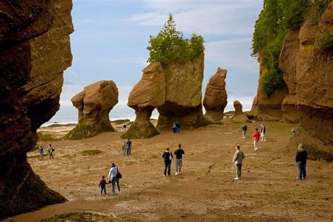 Tripadvisor Hopewell Rocks Eintritt Zur Verfügung Gestellt Von