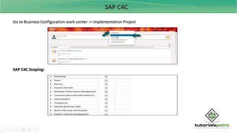 Sap C4c Project Implementation Youtube