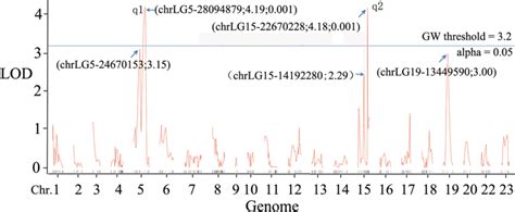 Genome Wide Significant Qtl Intervals For The Red Blotch Trait In