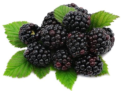 Blackberry Fruit Png Download Image