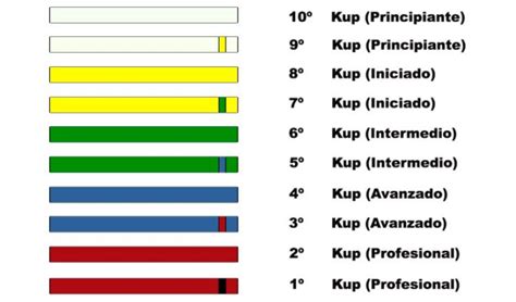 ¿cuál Es La Clasificación Del Taekwondo Haras Dadinco