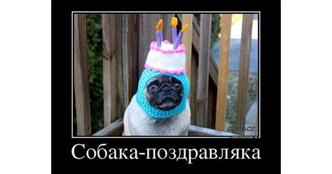 ВИЦ Парад