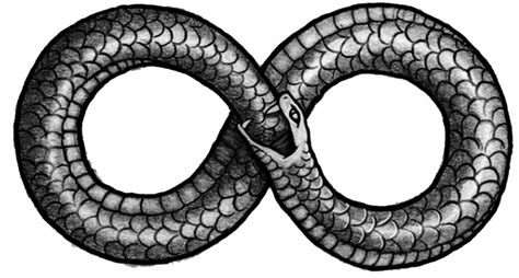 Snake The Cosmic Serpent Ouroboros Tail Eating - Ouroboros Png Picture ...