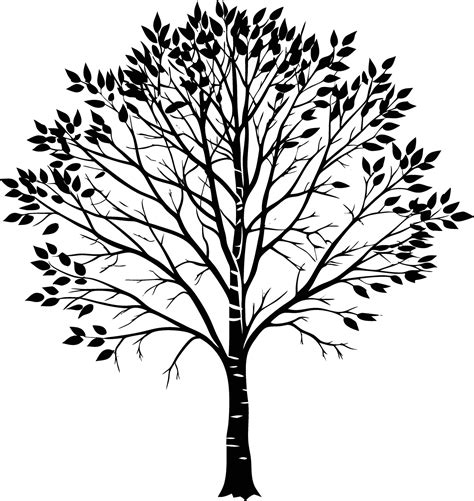 A black and white birch Tree Silhouette with leaves 46846375 Vector Art ...