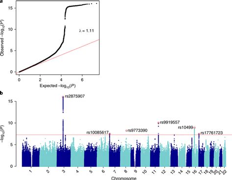 Qq And Manhattan Plot Of The Gwas Meta Analysis A Qq Plot Of The Download Scientific Diagram