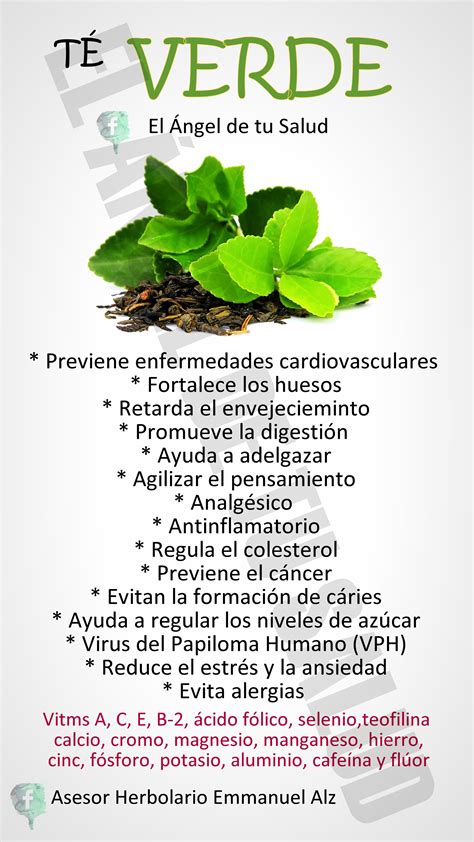 Te Verde Para Que Sirve Propiedades Beneficios Y Usos Medicinales Images