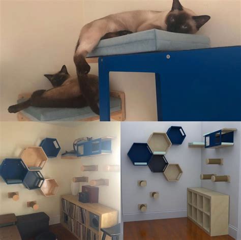 9 Creative Cat Rooms To Inspire Your Inner Designer