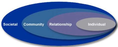 How We Use The Socio Ecological Model To Address Gun Violence Public