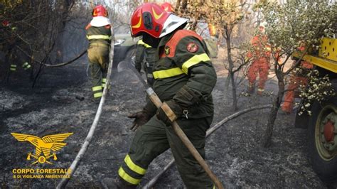 Altri 17 Incendi In Sardegna In 5 Casi Elicotteri In Azione Notizie