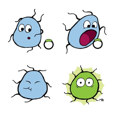 Plasmids 101: Transformation, Transduction, Bacterial Conjugation, and ...