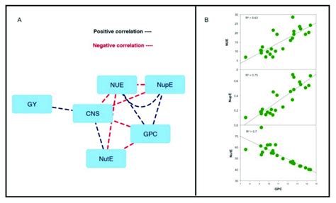 A Correlation Network For Nue Traits In Durum Wheat Using Four