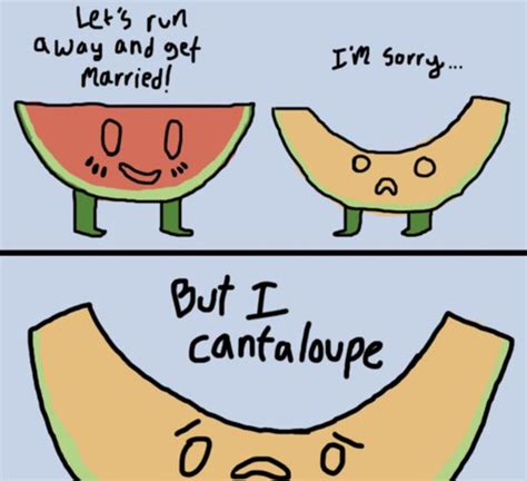 Funny Puns Fun