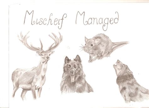 Moony Wormtail Padfoot And Prongs By Chickleberry On Deviantart