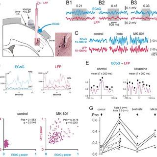 Ketamine And MK 801 Induce Parallel And Dose Dependent Increases In C