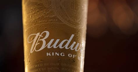 Anheuser Busch InBev Reports Q2 Earnings Shakes Up Organizational