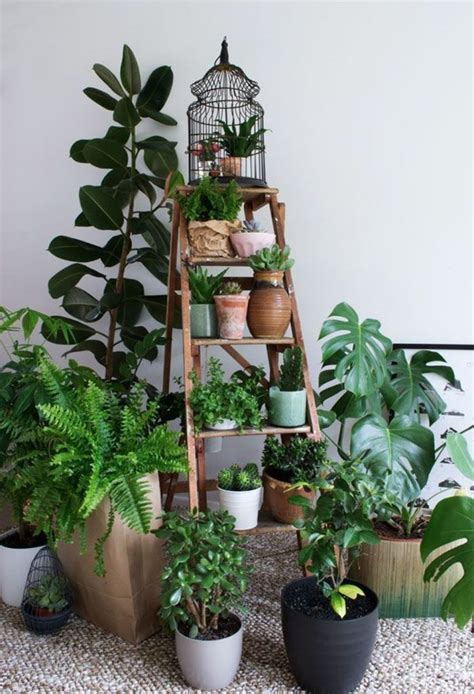 5 Best Indoor Jungle Styles In Your Home Thatll Bring You Closer To Nature