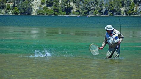 Prohiben La Venta De Permisos De Pesca Y Caza Weekend