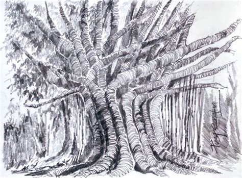 Banyan Tree-1 Drawing by Puspendu RoyKarmakar | Saatchi Art