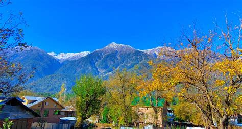 Hotel Pine Palace Pahalgam Kashmir Hotel Reviews Photos Rate